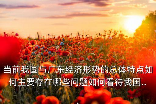 當前我國與廣東經濟形勢的總體特點如何主要存在哪些問題如何看待我國...