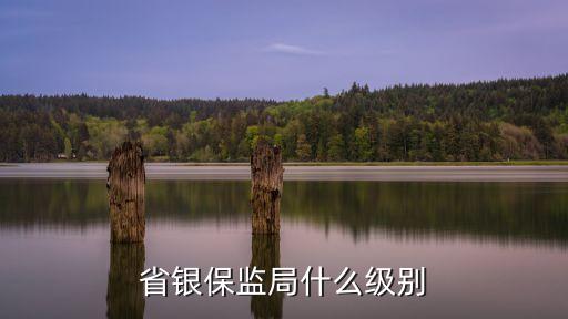 商業(yè)銀行監(jiān)管評(píng)級(jí)查詢,銀監(jiān)會(huì)商業(yè)銀行監(jiān)管評(píng)級(jí)結(jié)果