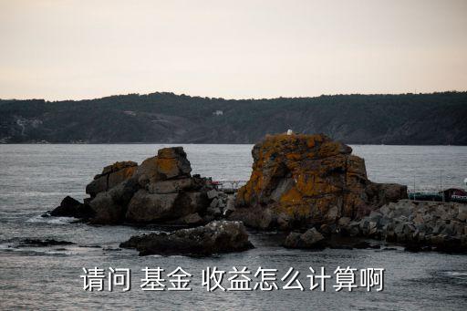 請問 基金 收益怎么計(jì)算啊