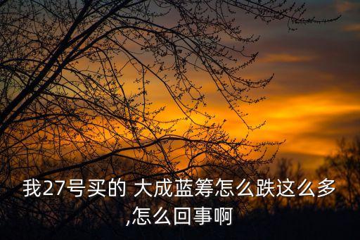 我27號(hào)買(mǎi)的 大成藍(lán)籌怎么跌這么多,怎么回事啊
