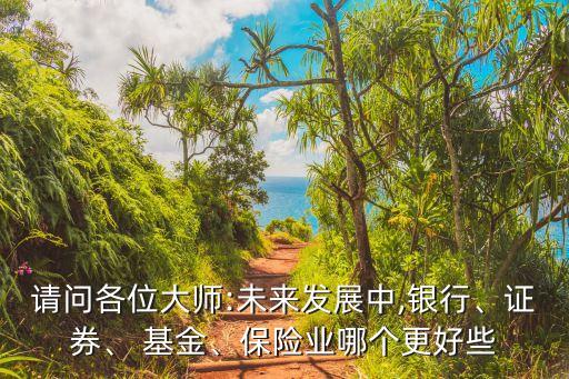 請問各位大師:未來發(fā)展中,銀行、證券、 基金、保險業(yè)哪個更好些