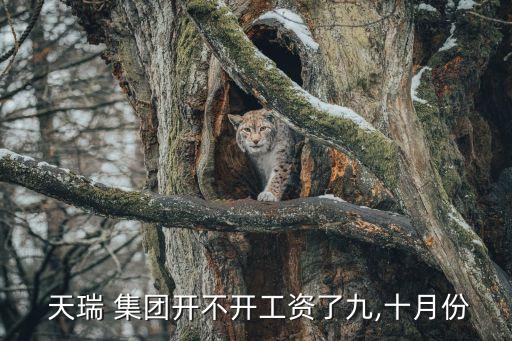  天瑞 集團(tuán)開(kāi)不開(kāi)工資了九,十月份