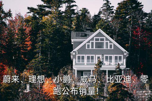 蔚來、理想、小鵬、威馬、比亞迪、零跑公布銷量!