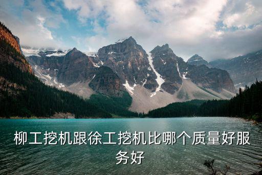  柳工挖機跟徐工挖機比哪個質量好服務好