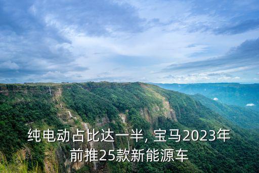 純電動占比達一半, 寶馬2023年前推25款新能源車