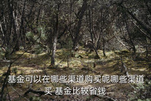 去哪買(mǎi)基金,在哪買(mǎi)基金最安全