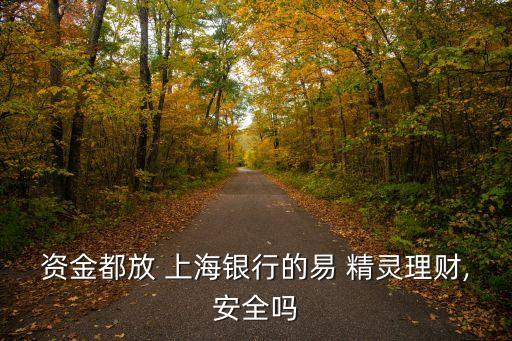 上海銀行易精靈2號(hào)