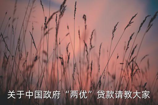 關于中國政府“兩優(yōu)”貸款請教大家