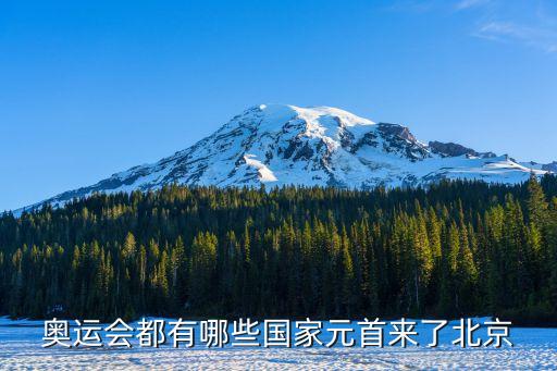 奧運(yùn)會(huì)都有哪些國家元首來了北京