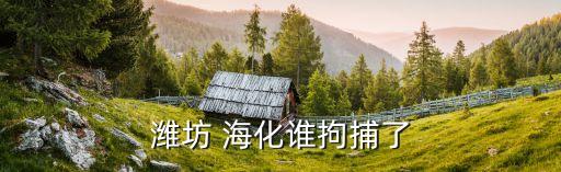 濰坊 ?；l拘捕了