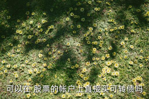 可以在 股票的帳戶上直接買可轉債嗎