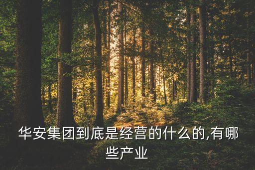  華安集團到底是經營的什么的,有哪些產業(yè)