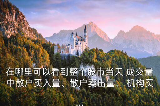 在哪里可以看到整個(gè)股市當(dāng)天 成交量中散戶買入量、散戶賣出量、 機(jī)構(gòu)買...