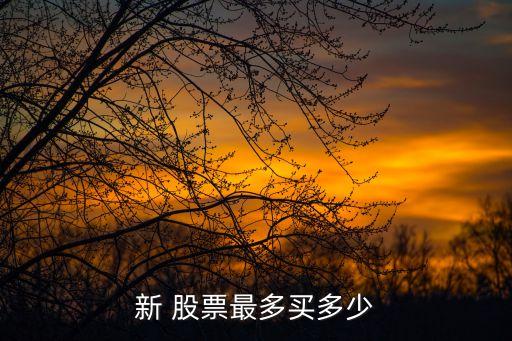 股票可以買(mǎi)多少,怎樣買(mǎi)股票去哪買(mǎi)