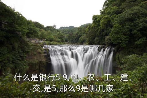 什么是銀行5 9,中、農(nóng)、工、建、交,是5,那么9是哪幾家