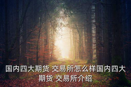 國內四大期貨 交易所怎么樣國內四大期貨 交易所介紹