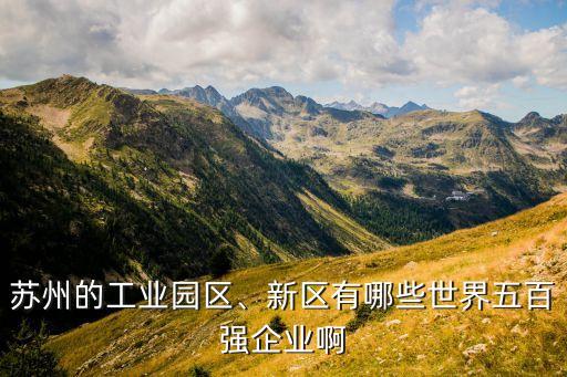 蘇州的工業(yè)園區(qū)、新區(qū)有哪些世界五百?gòu)?qiáng)企業(yè)啊