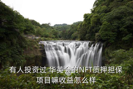 有人投資過 華英會的NFT質(zhì)押擔(dān)保項(xiàng)目嘛收益怎么樣