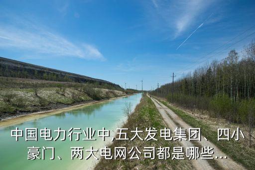 中國電力行業(yè)中,五大發(fā)電集團(tuán)、四小豪門、兩大電網(wǎng)公司都是哪些...