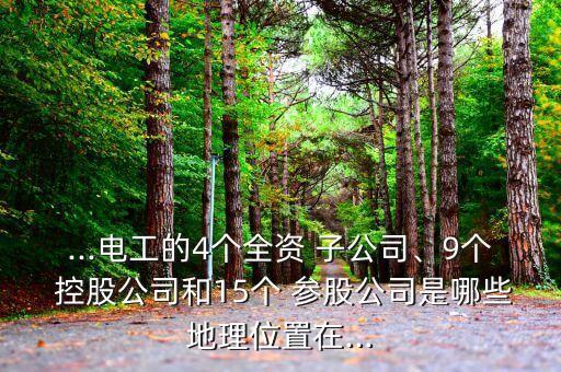 ...電工的4個全資 子公司、9個 控股公司和15個 參股公司是哪些地理位置在...