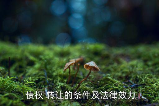 保理公司的債權轉讓合同,保理債權轉讓可以投資嗎
