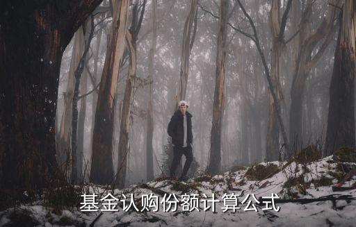  基金認(rèn)購份額計(jì)算公式