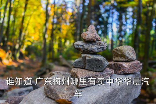 廣東京粵環(huán)?？萍脊?廣東小天鵝環(huán)保科技公司