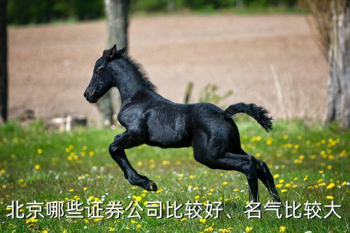 北京哪些證券公司比較好、名氣比較大