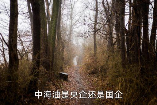 中國海洋石油總公司發(fā)布社會責(zé)任報(bào)告