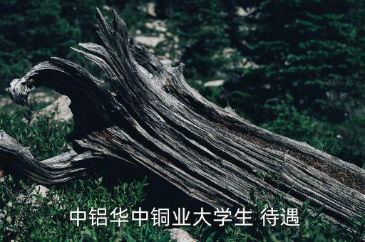 中鋁華中銅業(yè)大學生 待遇