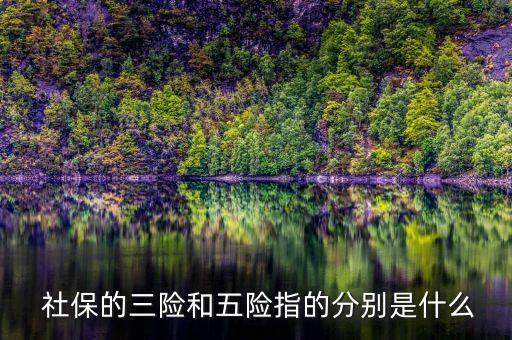 社?；鹫衅?全國社保基金招聘
