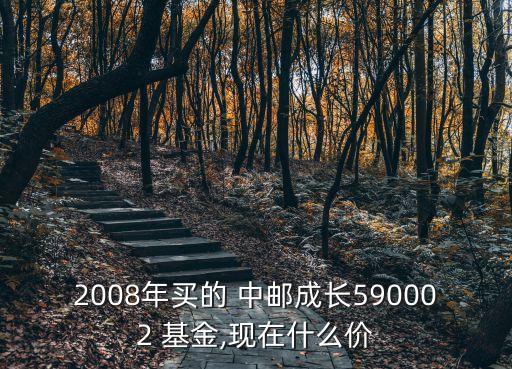 2008年買的 中郵成長590002 基金,現(xiàn)在什么價(jià)