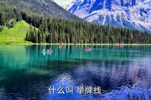 等5次舉牌的股票,舉牌對股票價(jià)格有什么影響