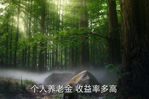 2011全國(guó)社?；鹜顿Y收益率,社?；鹜顿Y收益率 為什么高