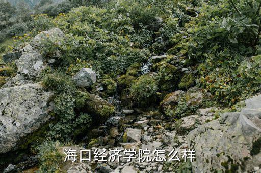 ?？诮?jīng)濟(jì)學(xué)院怎么樣