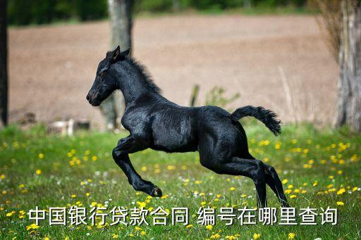  中國(guó)銀行貸款合同 編號(hào)在哪里查詢(xún)