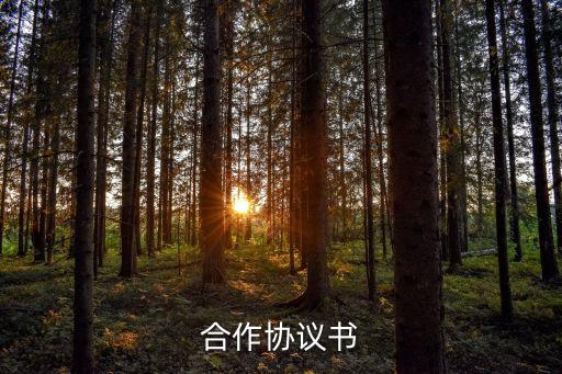 合資公司總經(jīng)理職責