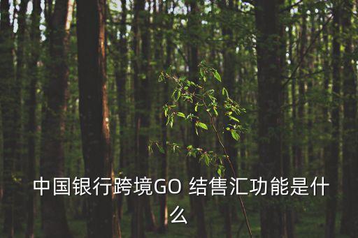  中國銀行跨境GO 結售匯功能是什么