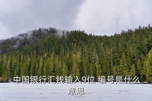  中國(guó)銀行匯錢(qián)輸入9位 編號(hào)是什么意思