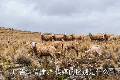  廣告、傳播、 傳媒的區(qū)別是什么