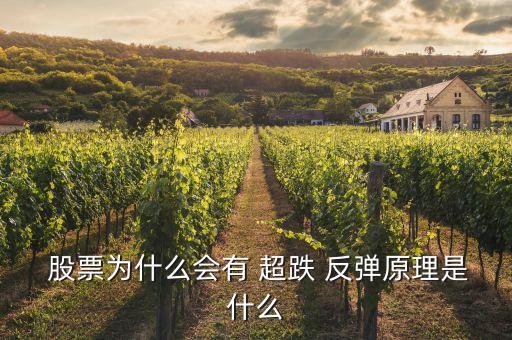 短線(xiàn)買(mǎi)超跌反彈股票,股票超跌反彈用啥指標(biāo)最好