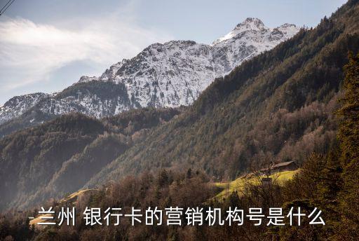  蘭州 銀行卡的營銷機(jī)構(gòu)號是什么