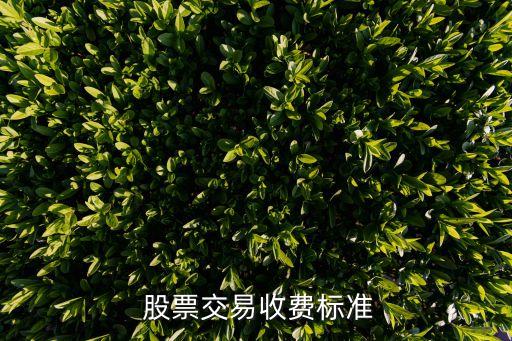  股票交易收費標(biāo)準(zhǔn)
