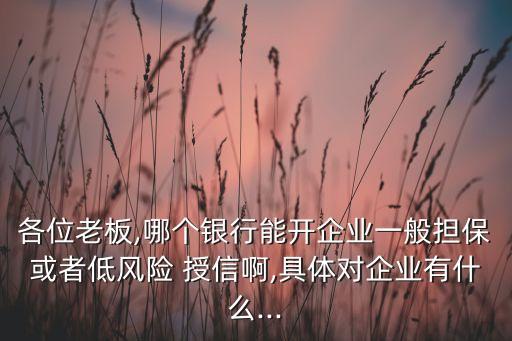 各位老板,哪個銀行能開企業(yè)一般擔?；蛘叩惋L險 授信啊,具體對企業(yè)有什么...
