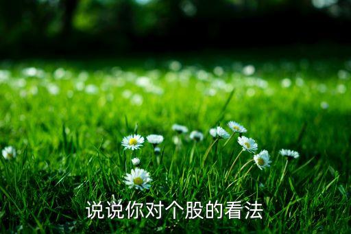 說說你對個(gè)股的看法