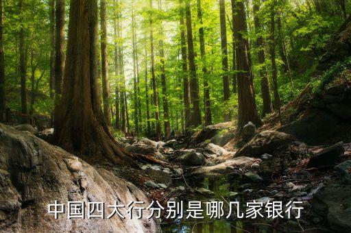 中國(guó)四大行分別是哪幾家銀行