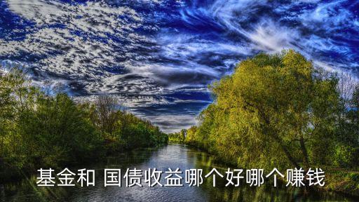  基金和 國債收益哪個(gè)好哪個(gè)賺錢