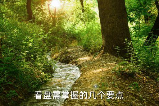 看盤(pán)需掌握的幾個(gè)要點(diǎn)