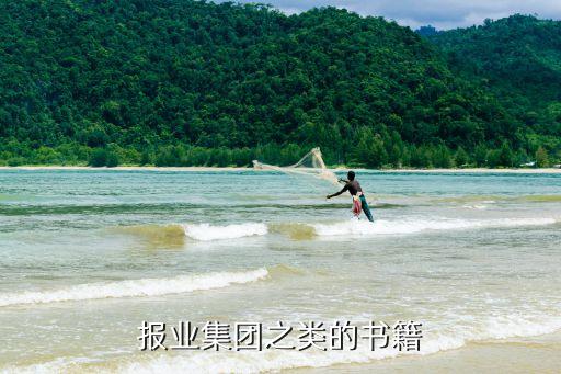 報(bào)業(yè)集團(tuán)之類(lèi)的書(shū)籍