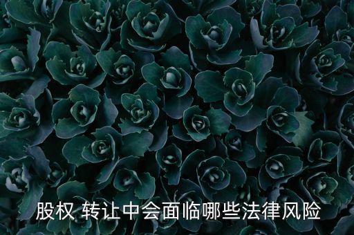  股權 轉(zhuǎn)讓中會面臨哪些法律風險
